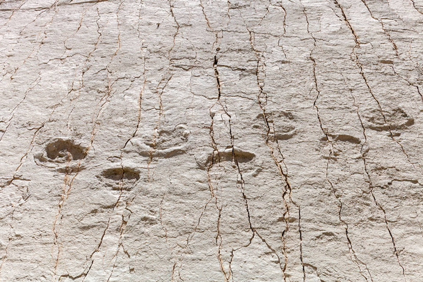 Une empreinte de vrai dinosaure gravée dans la roche. Parc national de Sucre, la Bolivie
 - Photo, image