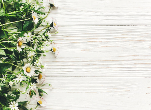 όμορφη Μαργαρίτα άνθη με την πρασινάδα σε άσπρο φόντο ξύλινη με αντίγραφο χώρου - Φωτογραφία, εικόνα