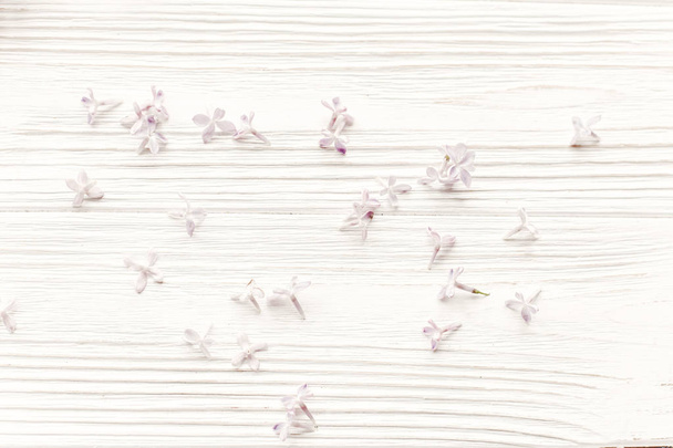 красивые нежные цветы лилака на белом деревянном ржавом фоне сверху. Поздравительная открытка на день Земли
. - Фото, изображение