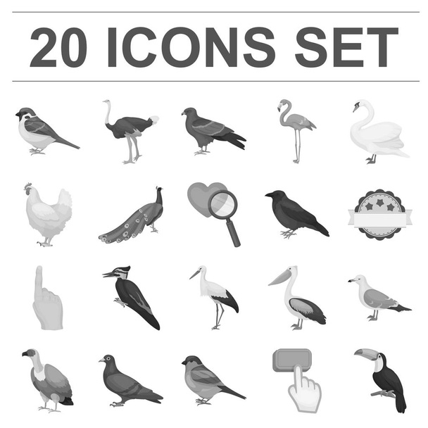 Soorten vogels zwart-wit pictogrammen in set collectie voor design. Huis en wilde vogel symbool voorraad web vectorillustratie. - Vector, afbeelding