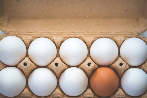 Close-up view of raw chicken eggs - Foto, immagini