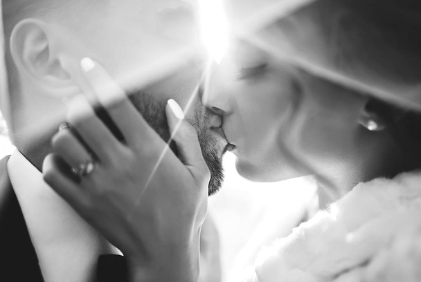 Bride and groom kisses tenderly in the shadow of a flying veil .beautiful pictures. guys enjoy. Sexy kissing stylish couple of lovers close up portrait . black and white - Foto, Bild