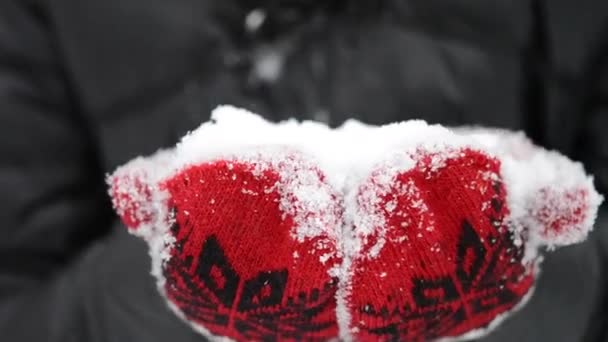Kız kar palmiye gelen darbeler - Video, Çekim