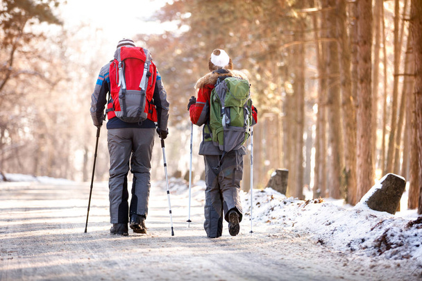 Back view of mountaineers while walking   - Fotó, kép