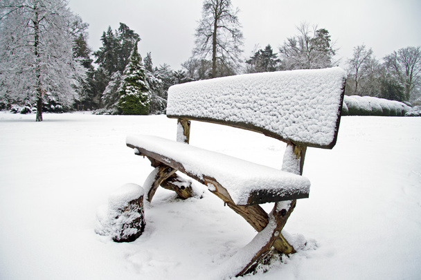 Snowy bench in the forest - Zdjęcie, obraz