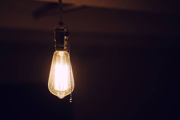 Лампы с вольфрамовой нитью. Лампочка Эдисона. Фила нити
 - Фото, изображение