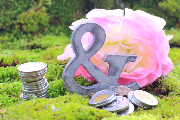 peníze a růžový květ - Fotografie, Obrázek