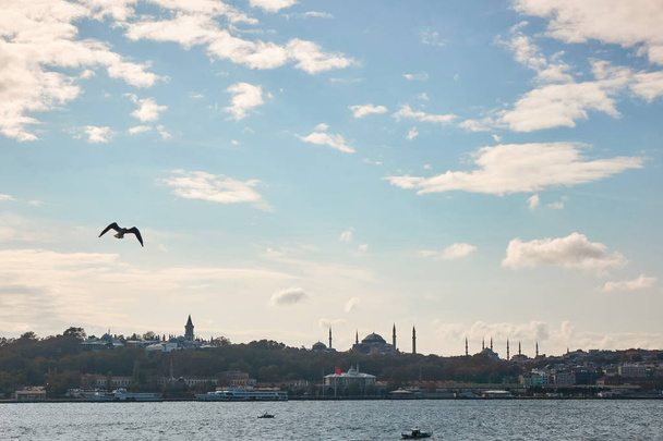 panoramic view of beautiful cityscape and flying gull, Istanbul, Turkey - Valokuva, kuva