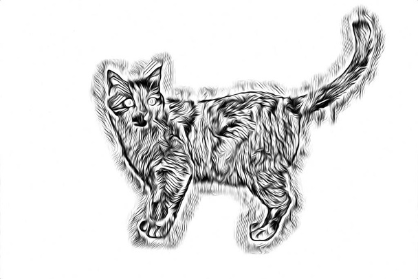A sketch of a cat art illustration - Photo, Image