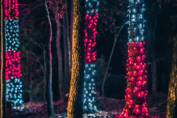 Noel sezon süsleme ve bahçeleri de ışıklar - Fotoğraf, Görsel