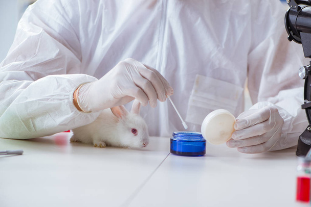 White rabbit in scientific lab experiment - Photo, Image