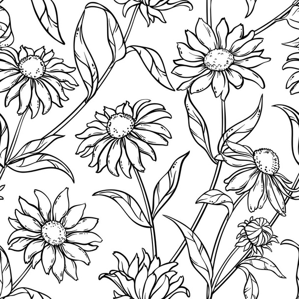 echinacea seamless pattern - Wektor, obraz