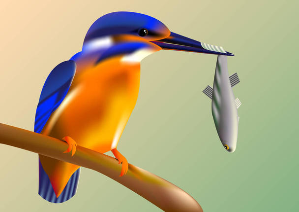 kuş gagası vektör pıtırtı balık ile dal arası kingfisher - Vektör, Görsel