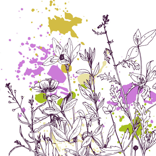 Background with drawing herbs and flowers - Vetor, Imagem