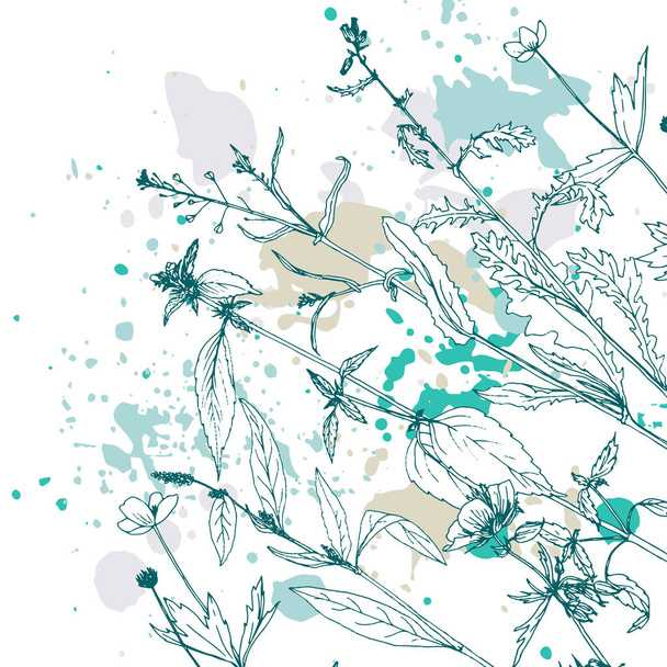 Background with drawing herbs and flowers - ベクター画像