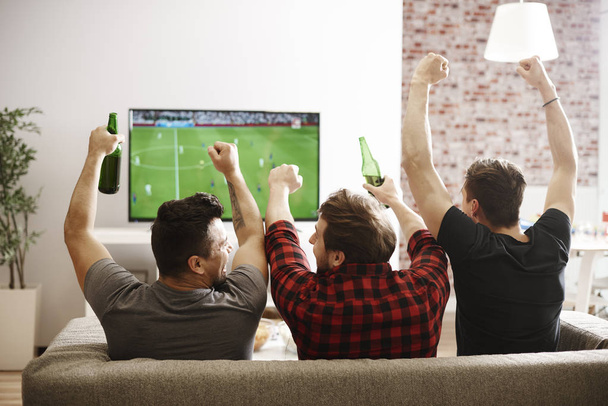 Visão traseira de homens assistindo jogo e torcida
  - Foto, Imagem