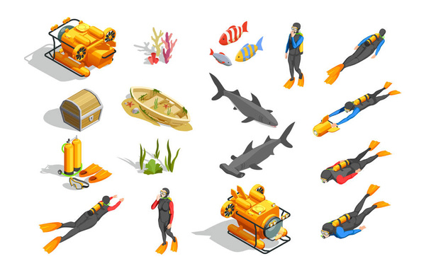 Underwater Swimming Elements Collection - Vector, Image