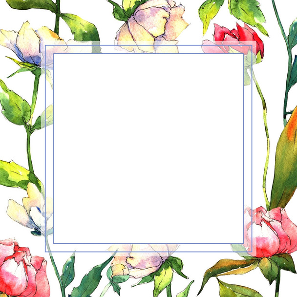 Wildflower peony flower frame in a watercolor style. - Fotoğraf, Görsel
