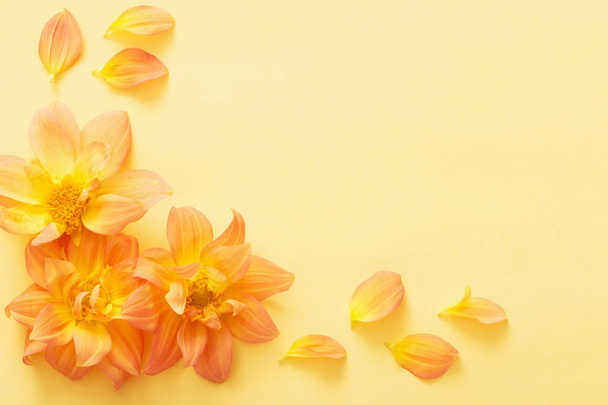 background with flowers dahlias - Foto, Imagem