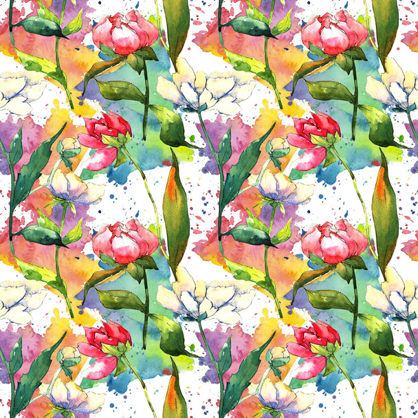 Wildflower peony flower pattern in a watercolor style. - Zdjęcie, obraz