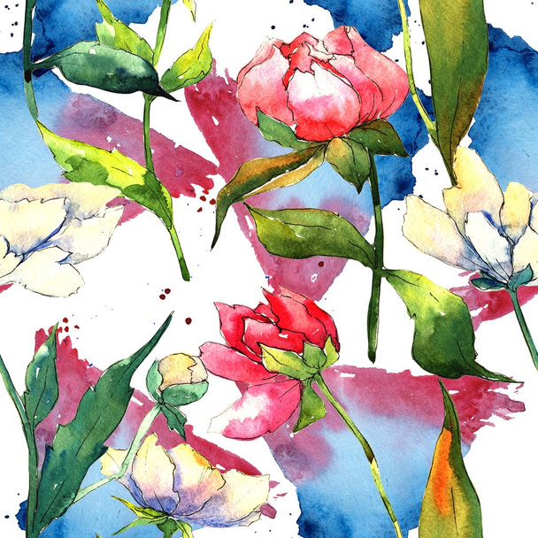 Wildflower peony flower pattern in a watercolor style. - Photo, image