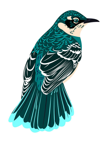 Um belo pássaro com plumagem variegada
  - Vetor, Imagem