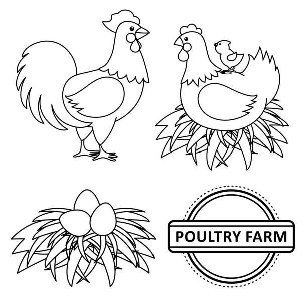 Vector flat poutry, farm chicken set - Vektor, Bild