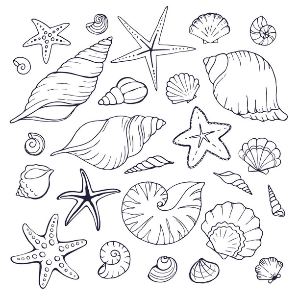 Sea shells collection - Вектор, зображення