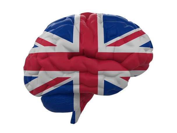 human brain is colored flag of United Kingdom - Fotoğraf, Görsel