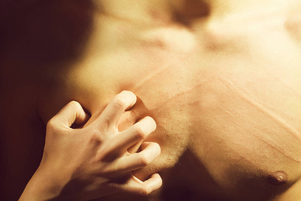 Male chest with scores - Foto, Imagem
