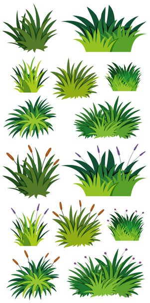 Different pattern of green grass - Vector, Image