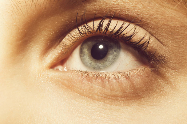 Hermoso ojo femenino, aspecto de color gris, con pestañas y maquillaje natural sobre fondo de piel joven
 - Foto, imagen
