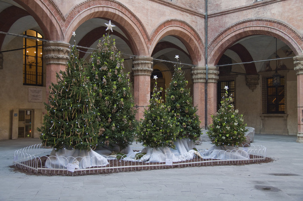 Navidad en Bolonia
 - Foto, Imagen