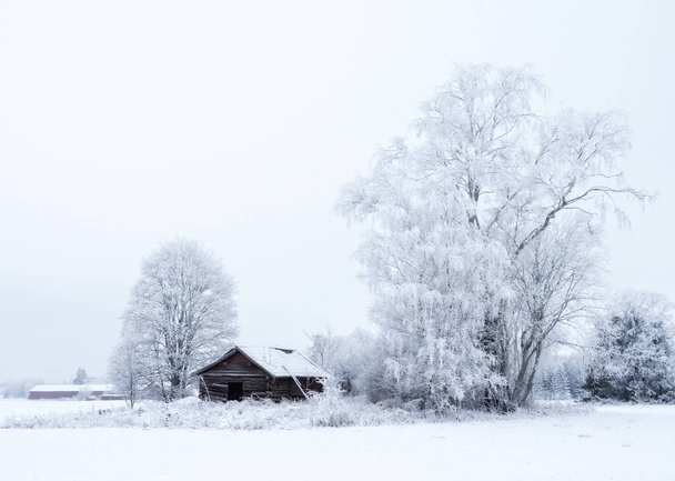 Landschap in de winter - Foto, afbeelding