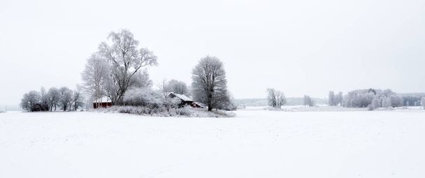 Landscape in winter - 写真・画像