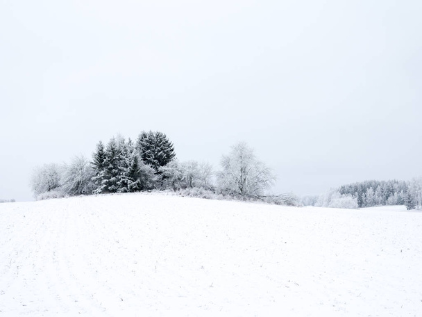 Landscape in winter - Foto, Imagen