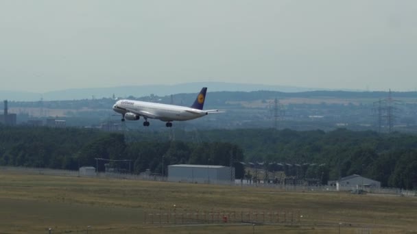 Lufthansas Airbus A321 landing at Frankfurt am Main airport. - 映像、動画
