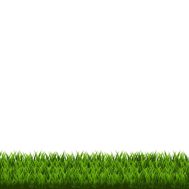 Green Grass Border - Vector, afbeelding