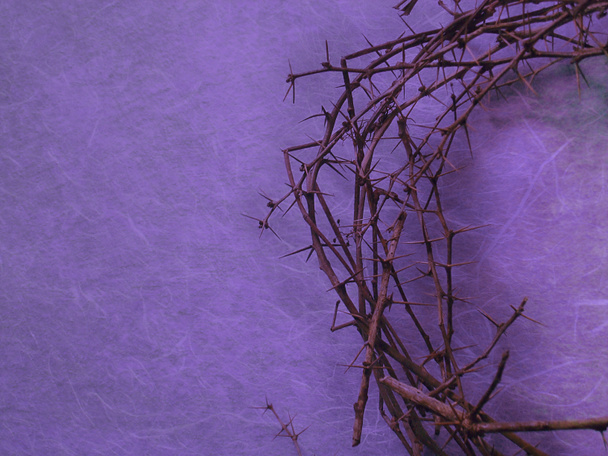 half crown of thorns on purple background with negative space on the left side - Photo, Image
