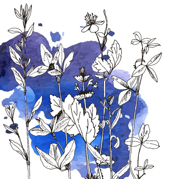 Background with drawing herbs and flowers - Vecteur, image