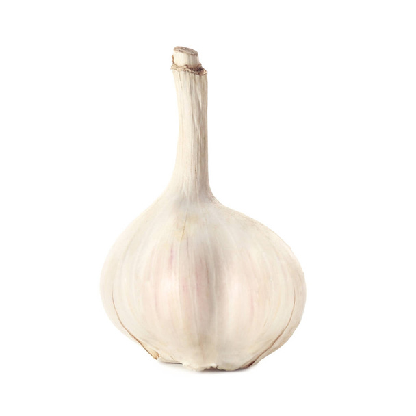 Fresh garlic head on white background - Φωτογραφία, εικόνα