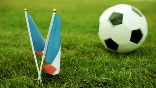 Flag of France and soccer ball. French flag and ball on the grass. - Footage, Video