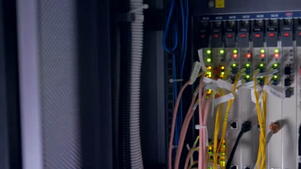 Uzun renkli ağ veri kabloları bir endüstriyel ağ anahtarı takılı. 4k. - Video, Çekim