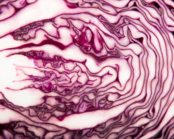 Red Cabbage cross section close-up detail - Fotografie, Obrázek