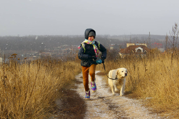 Pies gra z właścicielem. Młoda dziewczyna gra z jej Zwierzęta Golden Retriever. Psa i właściciela, odkryty. Golden Retriever zabawie. - Zdjęcie, obraz