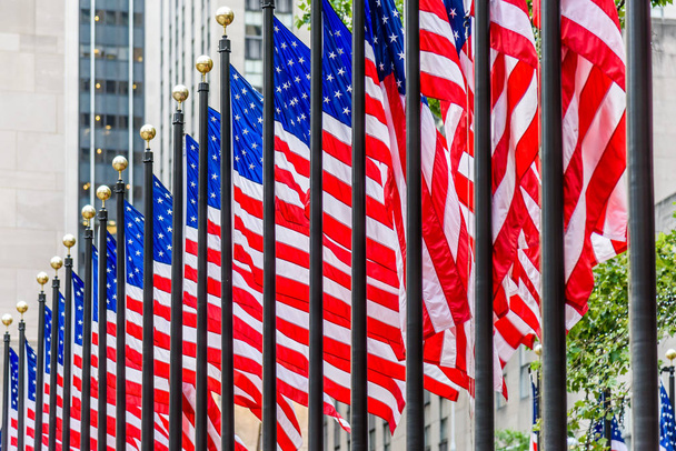 American Flags - Valokuva, kuva