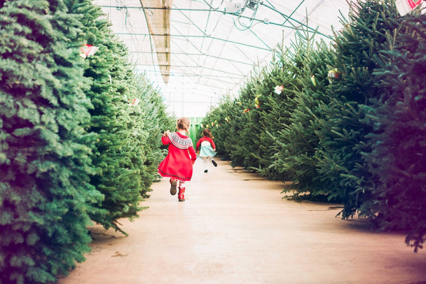 Malá holčička na vánoční stromeček farmy. - Fotografie, Obrázek