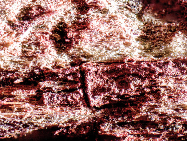 Microscopic macro photograph of a piece of barnwood showing the wood fibers and intricate textures and red paint striped coloring. - Photo, Image