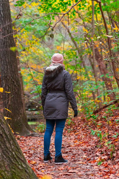 Woman in a jacket and pink hat walks in an autumn park - Foto, Imagen
