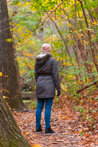 Woman in a jacket and pink hat walks in an autumn park - Photo, image